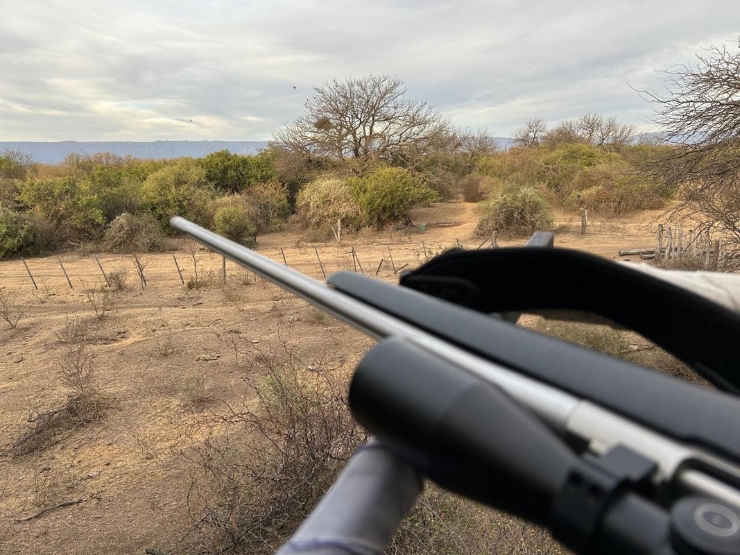 WhatsApp Image 2024-08-02 at 12.29.04