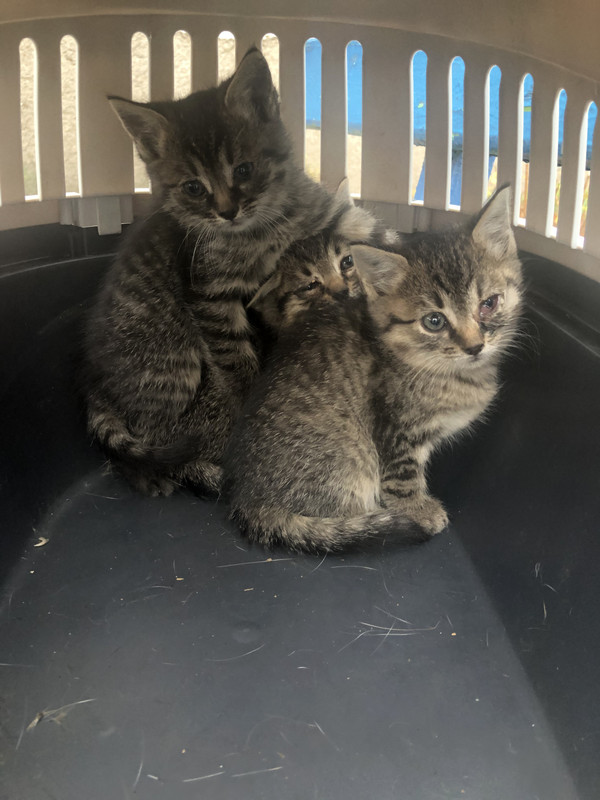 39E38063-642F-4757-AF30-CBA94E3D8CD5