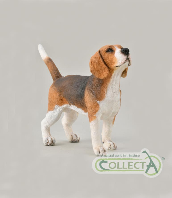 2021 STS Dog Figure of the Year! Collect-A-Beagle