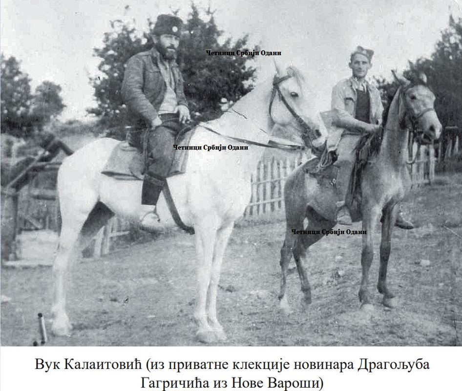 [Слика: 313926108-168799312466323-7637399076150114757-n.jpg]