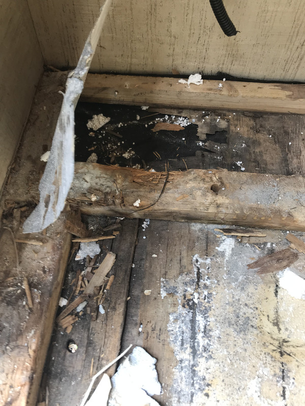 B4C044F4-9917-4178-8476-0DC0A57688FB