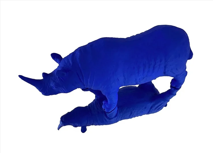 Les Rhinocé-pop