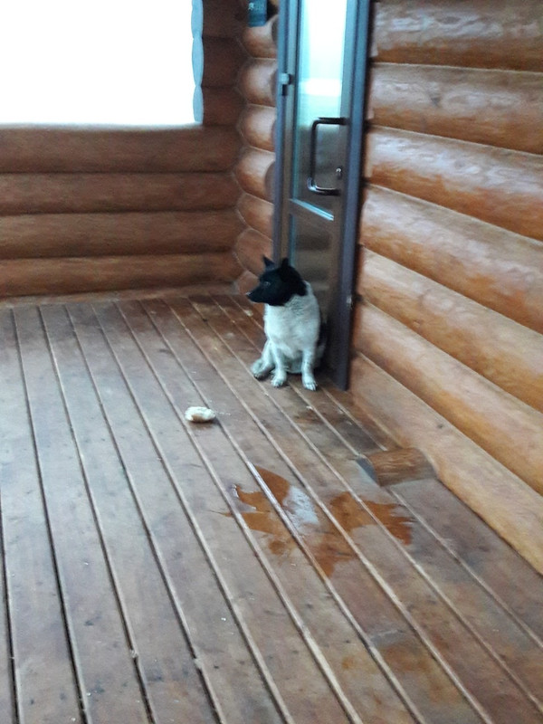 70846BA7-8A8F-4B85-92B3-BA52D2098B8B