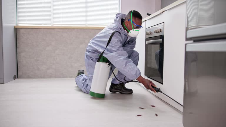 pest-control-8.jpg