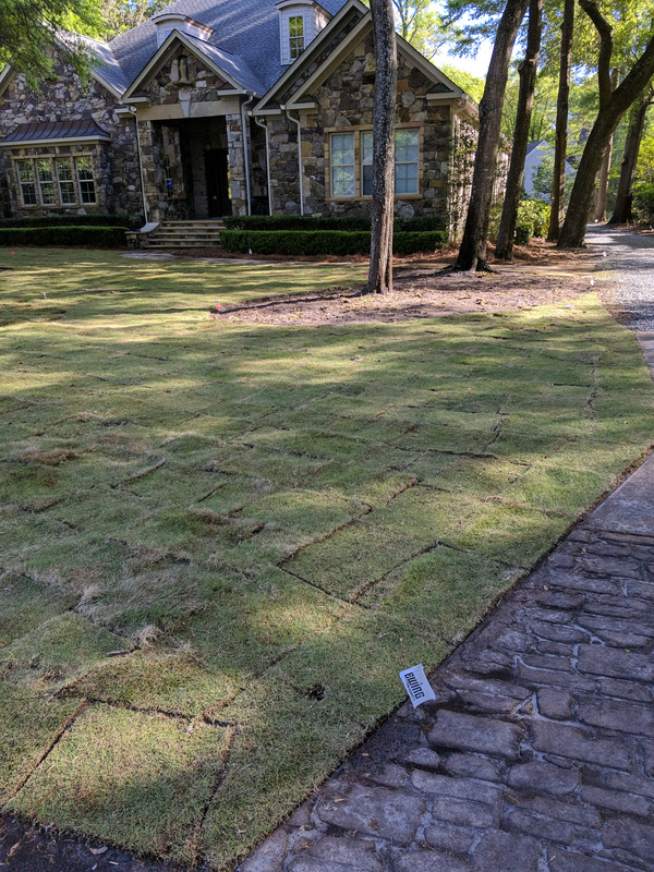 IMG_20180421_172451[1]