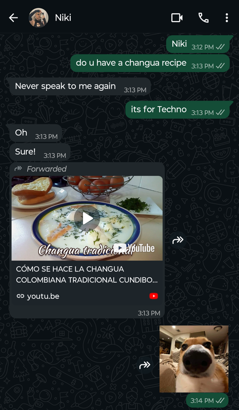 Screenshot of a whatsapp conversation between Niki and Phil Phil: Niki  Phil: do u have a changua recipe Niki: Never speak to me again  Phil: its for Techno  Niki: Oh  Niki: Sure! Niki forwards a link to a youtube video of a changua recipe Phil sends a sticker of an offended/upset dog