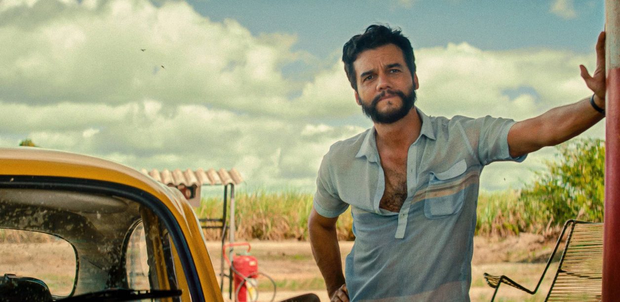 11961-large-1256x613