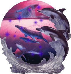 dolphin globe