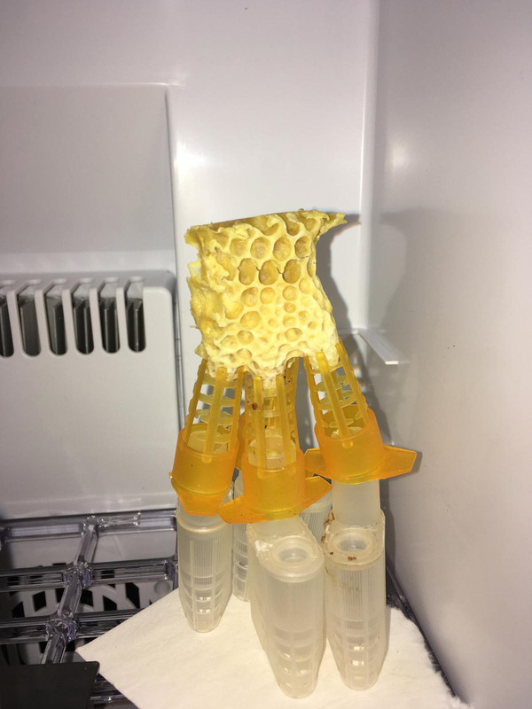 0B11F7D5-EE7A-46A5-829A-7AD5924CCB33