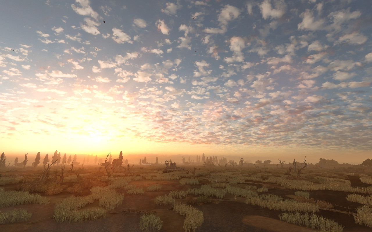 ss_Артём_09-23-23_12-10-44_(marsh)