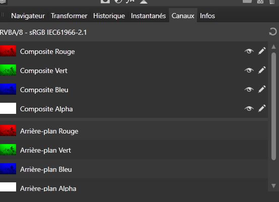 Panneau-Canaux-Composite