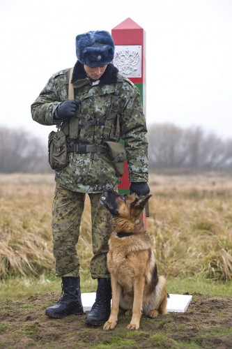 Собака на границе. Пограничник с собакой. Собака охраняющая границу. Пограничник с собакой на границе. Собака охраняющая границу.