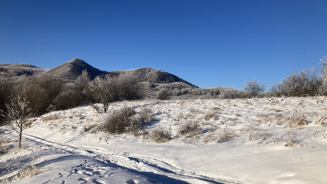 606AB737-2724-4E47-8AF2-F47EB5349563