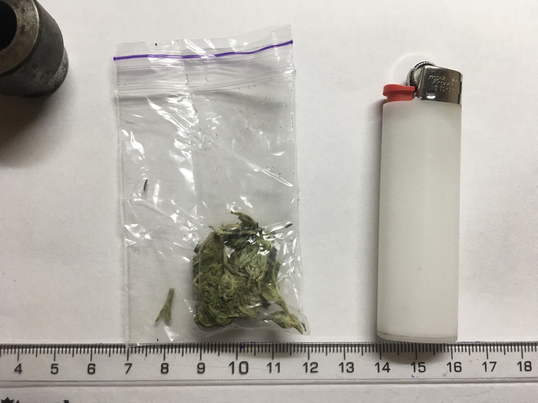 3653199A-B40F-4492-8EDB-2A6E5009D3D2