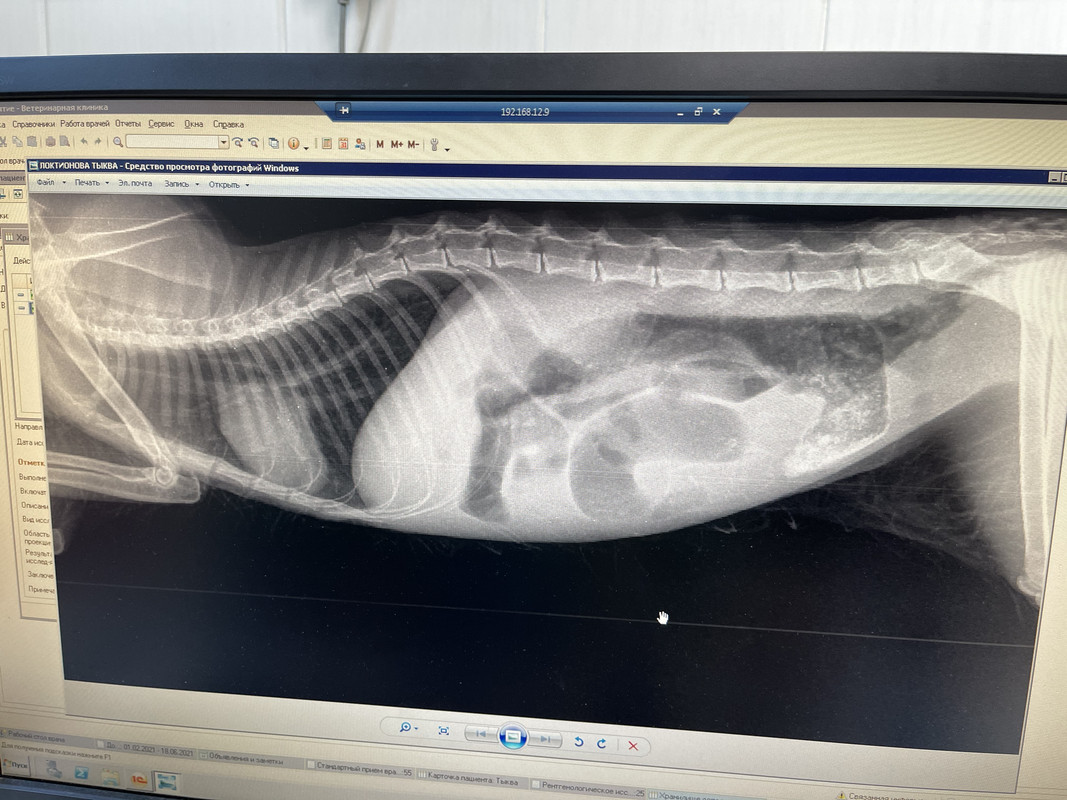 6EE38B46-9AA3-4D61-B85E-FAAB32B75CED