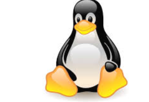 Linux