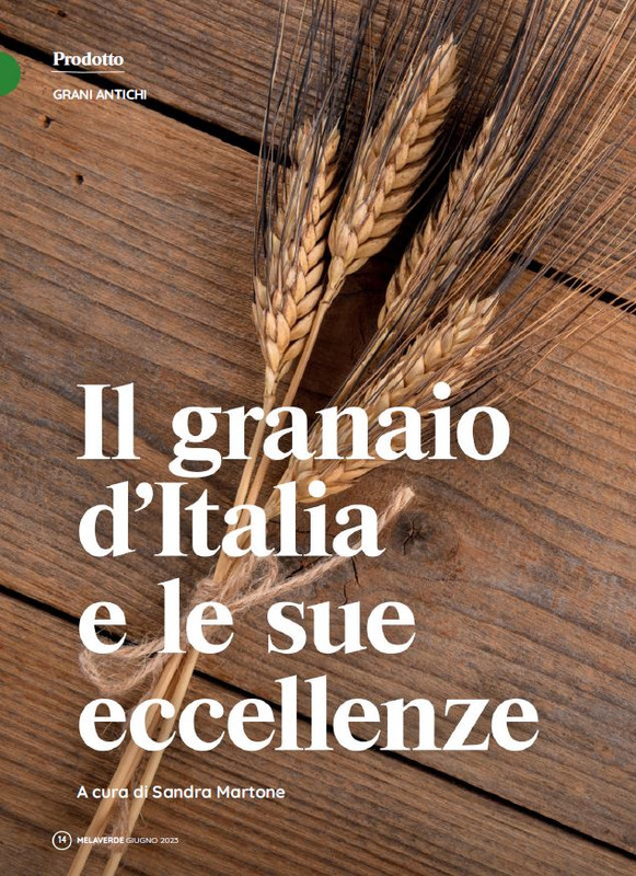 melaverde Giu 2023 (1)