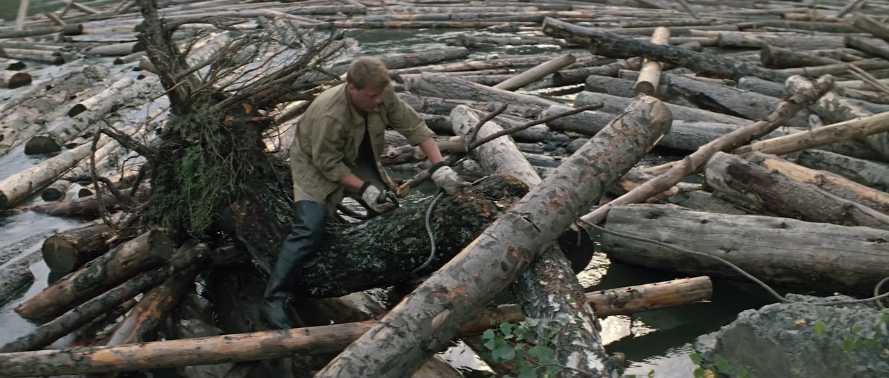 Хозяин тайги000208