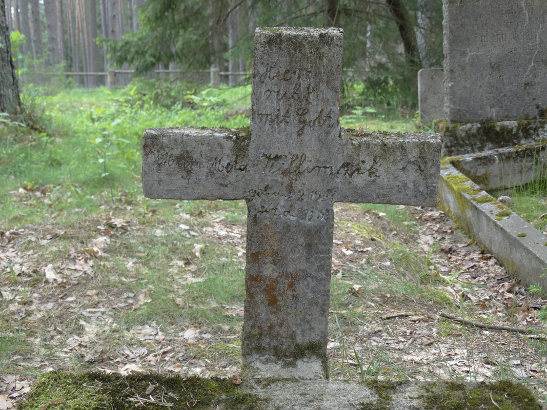 11 - DSC04087 (Czesio1)