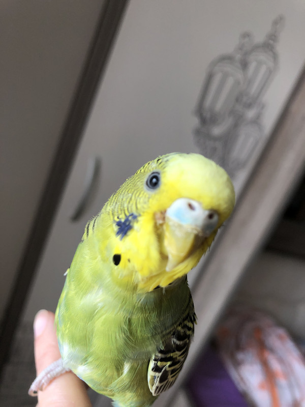 2AEA80E6-637C-41E8-98D1-18EF50CC23EF