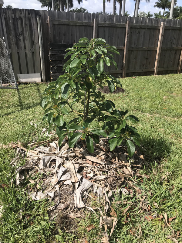 249ED692-24D4-4E12-A0A9-C1B2C068AA48