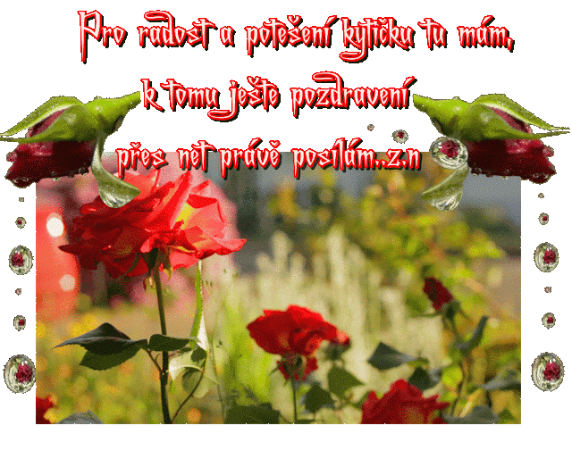 Pro-radosr-pozdraven-pos-l-m.gif