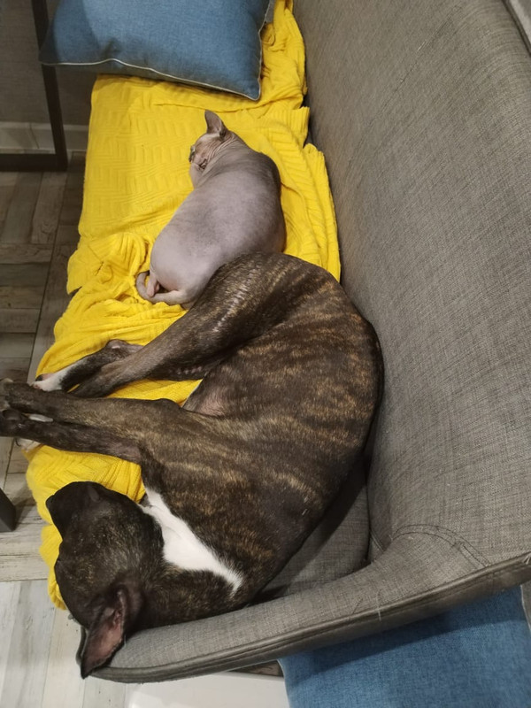 DBD99128-D5F2-4367-B7B8-8D86DFC6682F