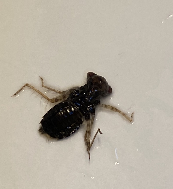 0A8ED173-EEEB-41EB-AF40-46119895077D