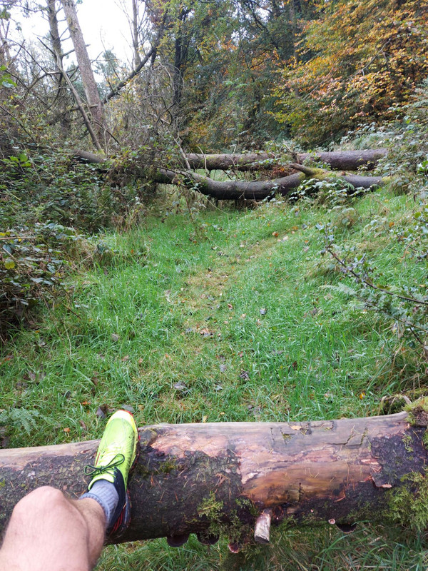 ovUZOxvj1IGp-YO6Lu35BufCk6v6-c-9C9hnuMeHIJI-1536x2048