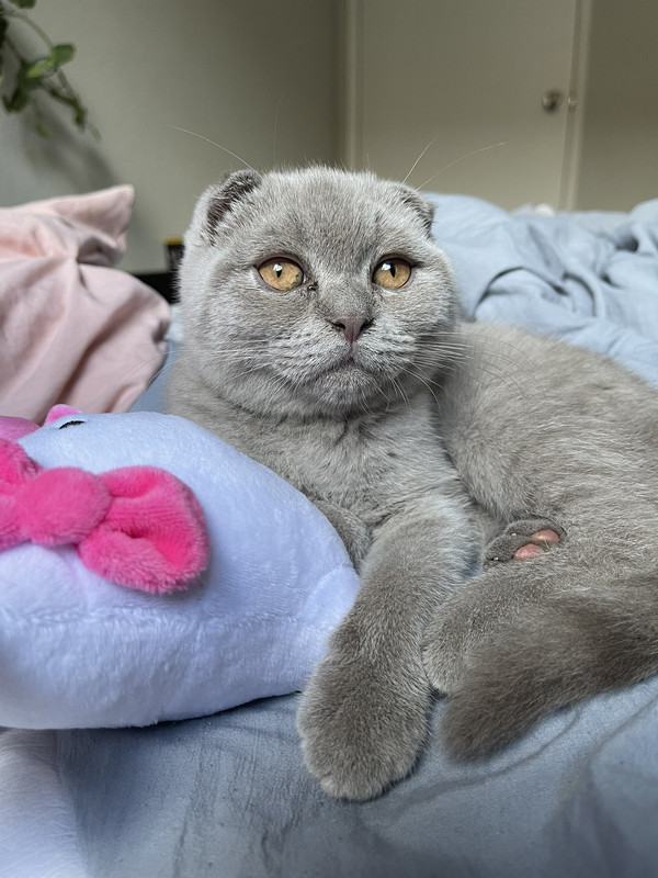 2022 03 07 Namiswanbb 1500940842697052160 — Postimages