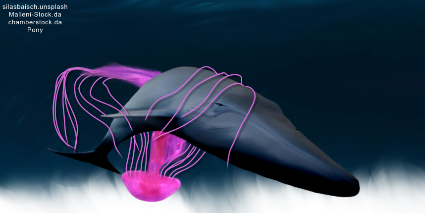 23001CC6-78D0-42BD-B2ED-72219C855E33