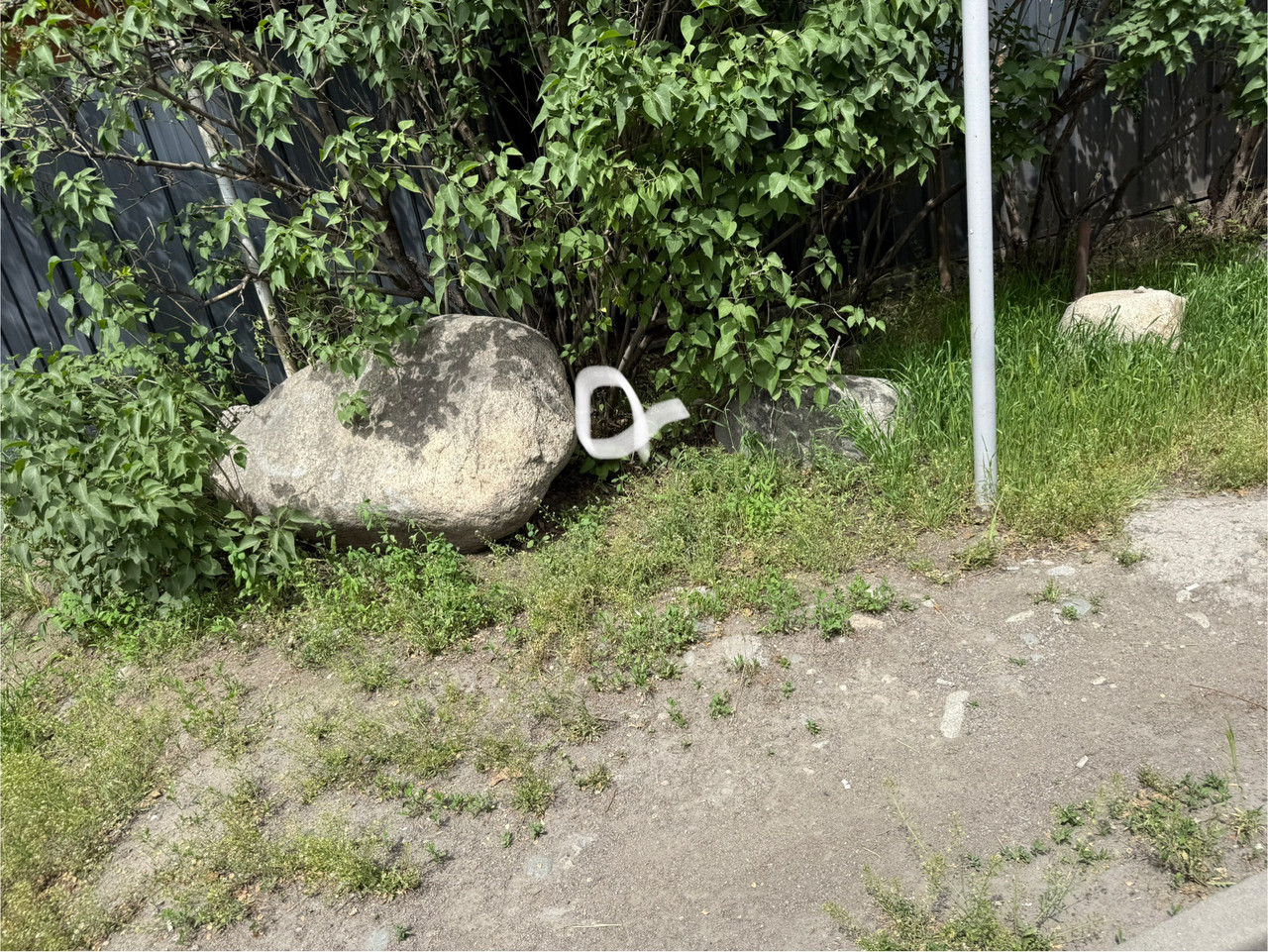 IMG 7905