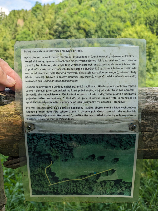 photo_2024-06-26_08-18-36