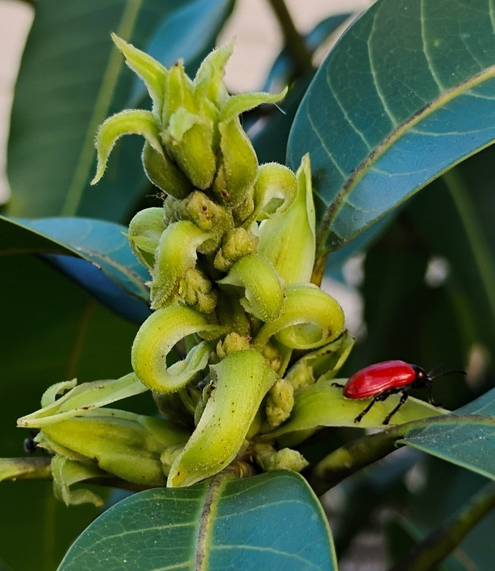 IMG 20251129 163039823 HDR 3