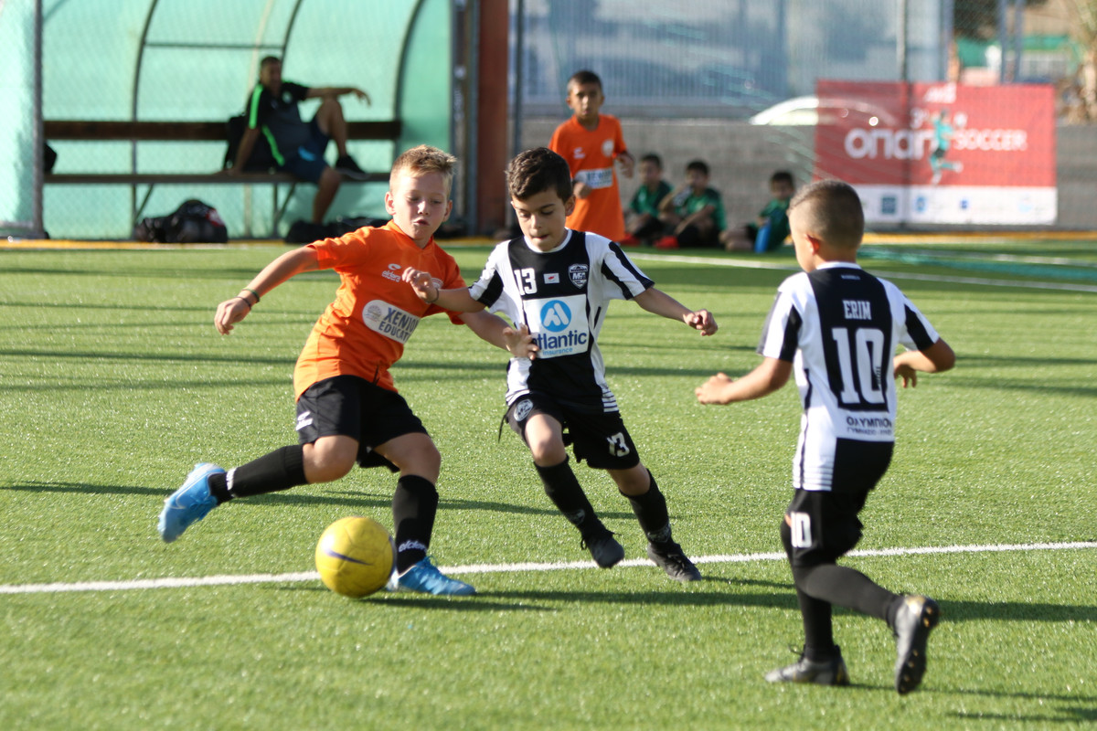 VIK_0389