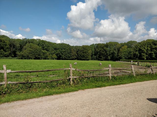 Tercer día: Amsterdam:Goatfarm Ridammerhoeve , Voldenpark y Bibliotecamunicipal - Road Trip Holanda con niños (8)