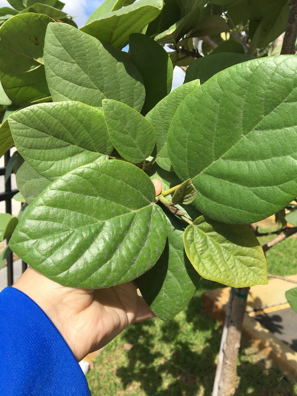 70139B37-D15C-46F3-ACC8-EDFC10A9D090