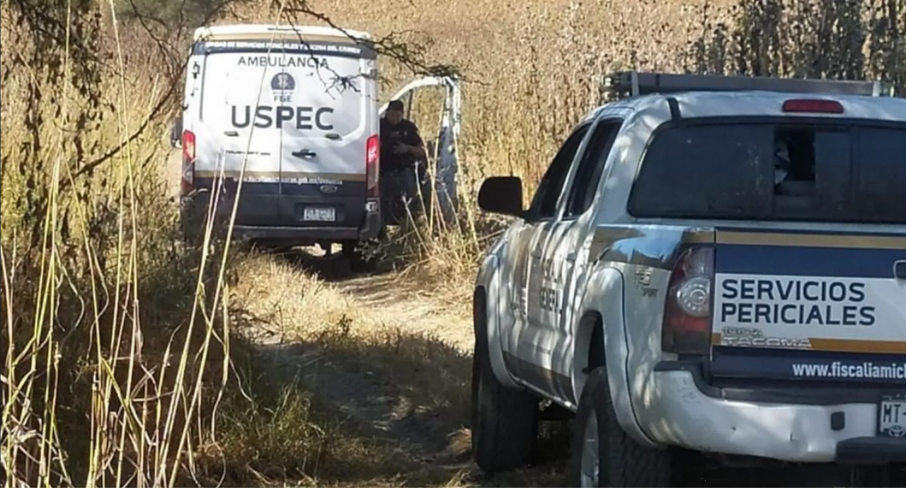Hallan cuerpos sin vida de siete hombres, integrantes de grupo delictivo