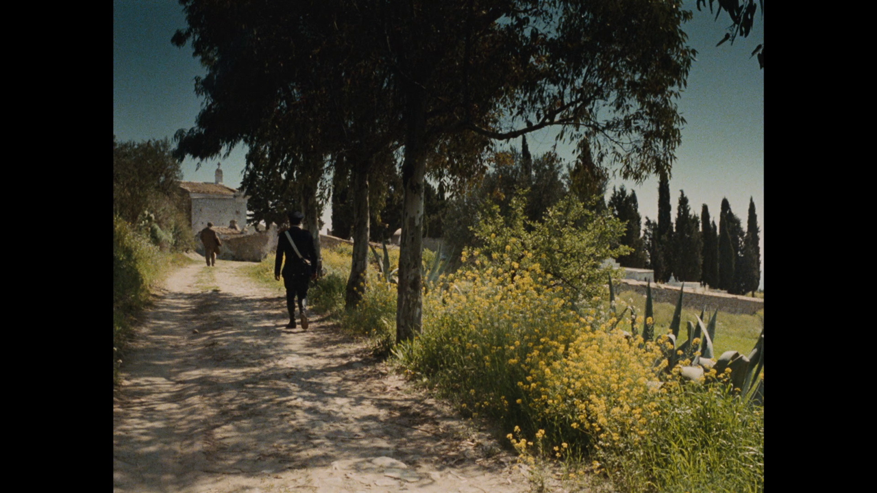 vlcsnap-2023-04-19-21h50m43s985