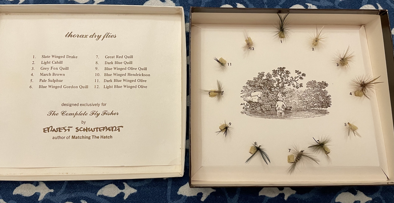 1D5C24F9-C779-4768-A83A-DBF541937067