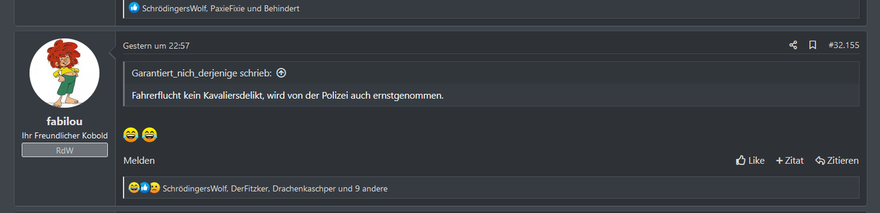 Fabilou-Fahrerflucht-F-hrerschein-Unbenannt.png