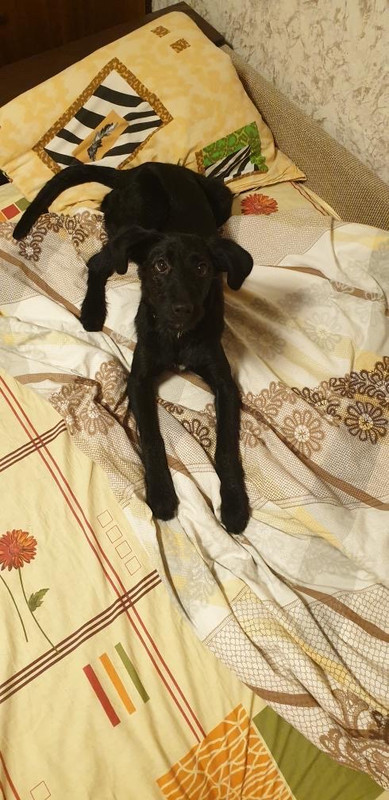 7F594923-D414-45FA-B21F-46D3831CB027