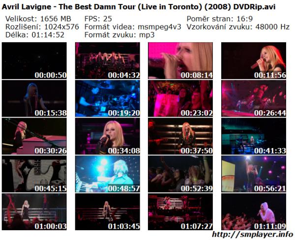 Avril Lavigne - The Best Damn Tour (Live in Toronto) (2008)
