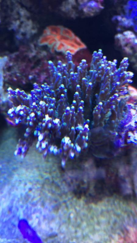 5BB2CBBE-0DF8-40CC-8907-291CB045EC9D