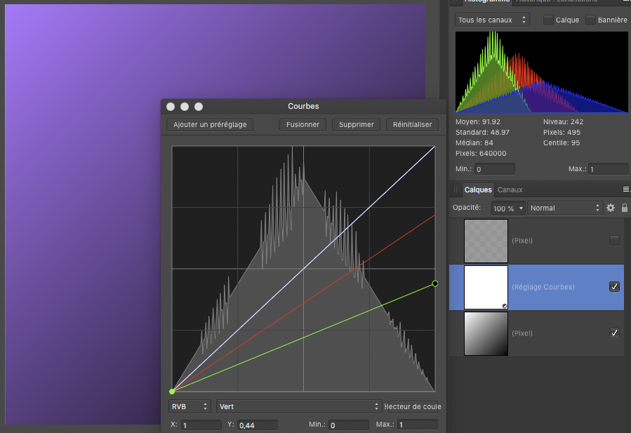 Capture d’écran 2021-02-17 à 10.45.59