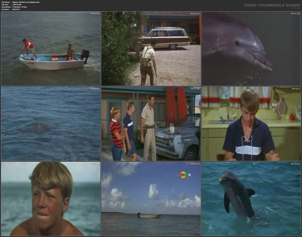 Flipper S03E04 Lost Dolphin.mkv