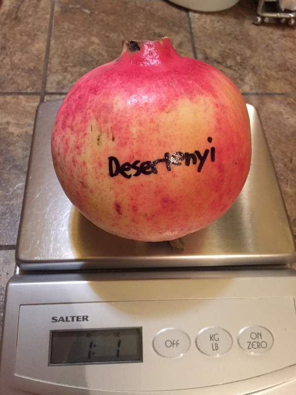 DEB64981-66F8-4883-87D9-00EFCFE20975