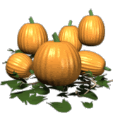 Pumpkins_Jumping
