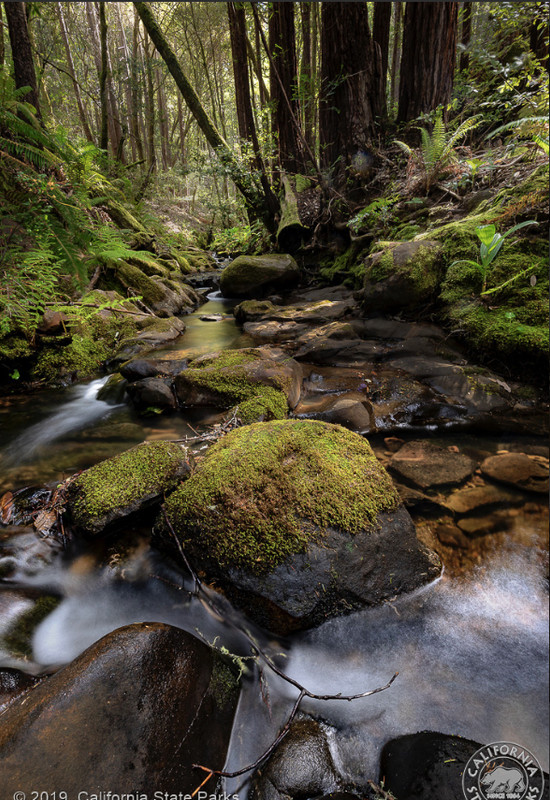 E33B82FC-35E5-45EB-A062-2F8B59918328