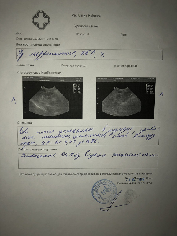 CB43F535-EB3E-4DA7-BAA8-CCF7A8734E28